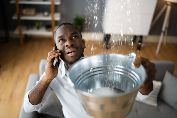 Best 24/7 water damage repair  in Brookdale, NJ