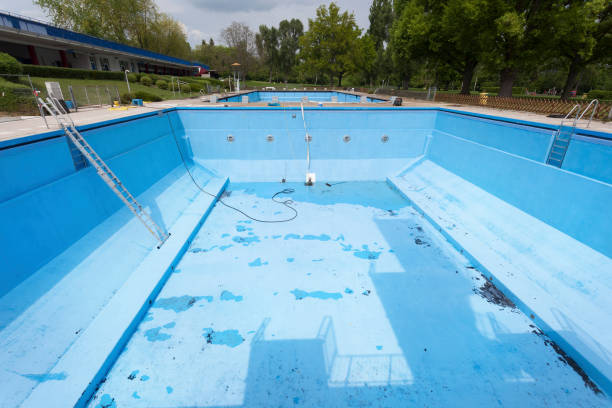 Best Water damage mitigation services  in Brookdale, NJ