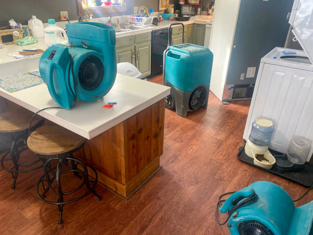 Best Flood damage cleanup  in Brookdale, NJ