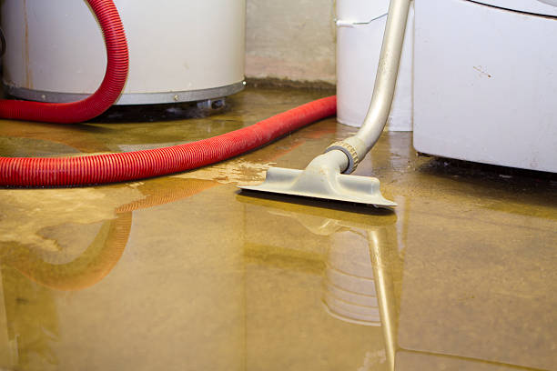 Best Water damage contractors near me  in Brookdale, NJ
