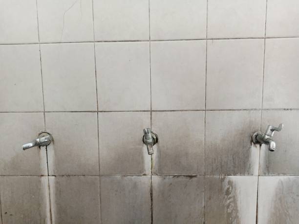 Best Water damage restoration experts  in Brookdale, NJ
