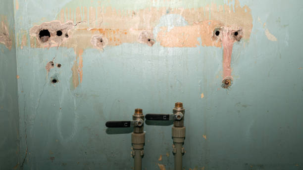 Best Water damage cleanup near me  in Brookdale, NJ