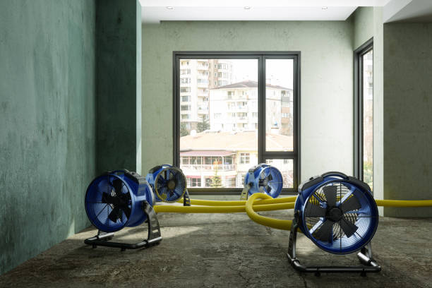 Best Water damage contractors near me  in Brookdale, NJ